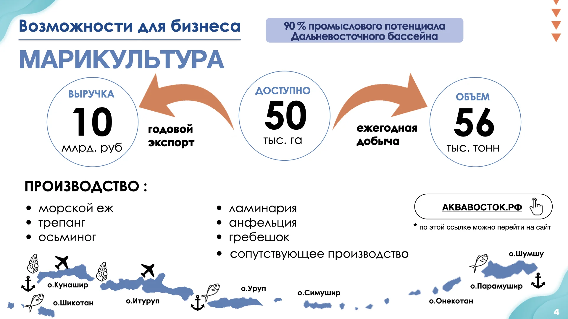 Презентация преференциального режима Курильских островов