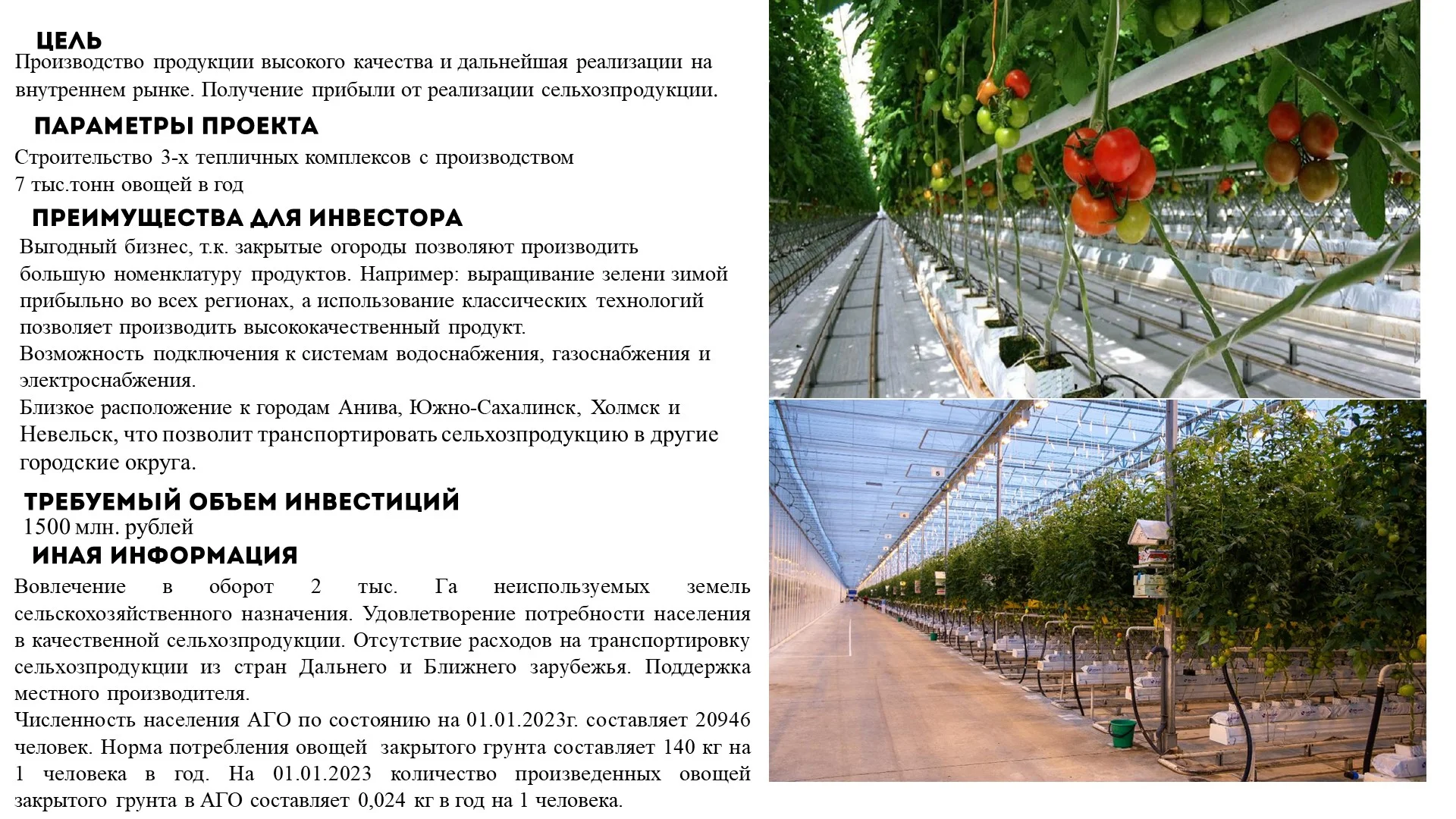 Презентация тепличных комплексов