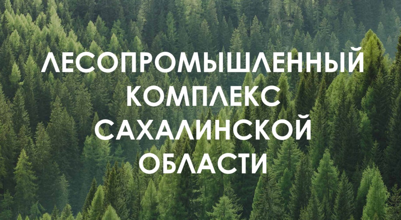 Министерство инвестиций приглашает инвесторов для&nbsp;строительства лесопромышленного комплекса в&nbsp;Сахалинской области